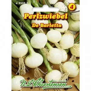 Semințe de ceapă verde De Barletta