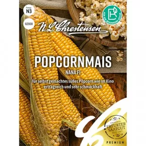 Semințe de porumb de popcorn Nana F1