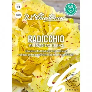 Semințe de cicoare albă (radicchio) Variegata di Castelfranco