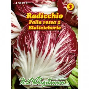 Semințe de cicoare roșie (radicchio) Palla Rossa 2