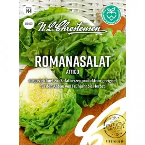 Semințe de salată romană Attico