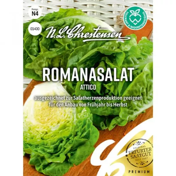 Semințe de salată romană Attico