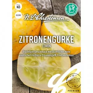 Semințe de castraveți Lemon