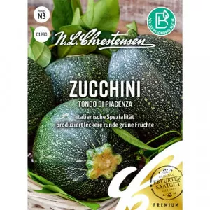 Semințe de dovlecel zucchini Tondo di Piacenza