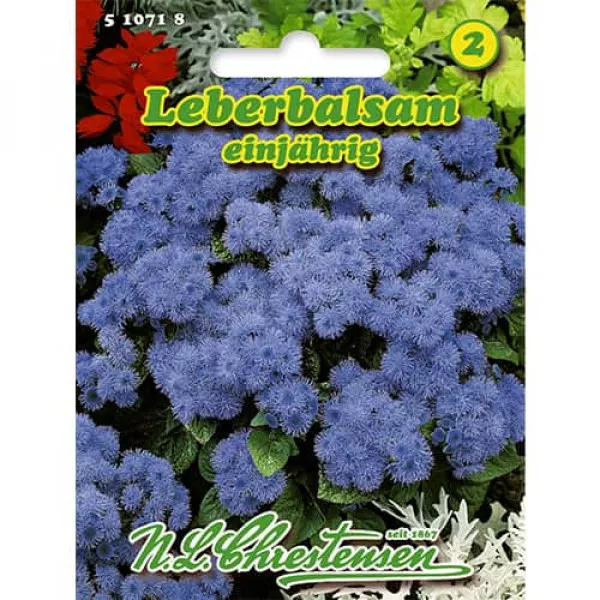 Semințe de pufuleți (Ageratum)