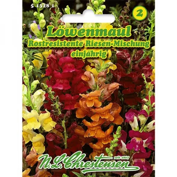 Semințe de gura leului gigant, mix multicolor