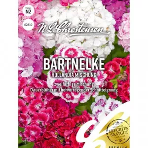 Semințe de garoafă turcească Hollandia, mix multicolor