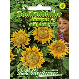 Semințe de floarea soarelui decorativă Sunspot