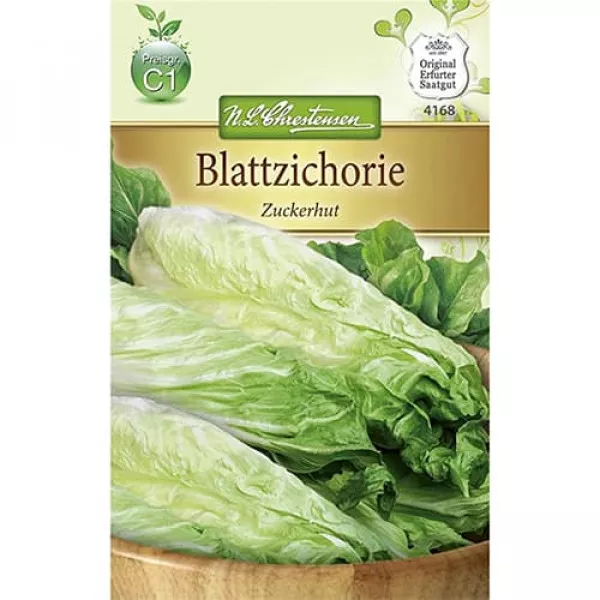 Semințe de cicoare albă (radicchio) Zuckerhut