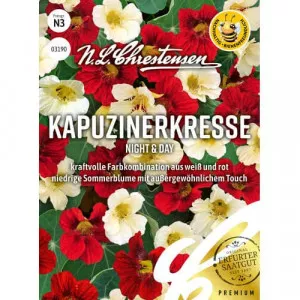 Semințe de condurul doamnei Night & Day