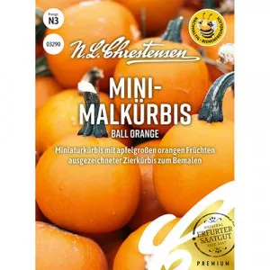 Semințe de dolveac ornamental pitic Ball Orange