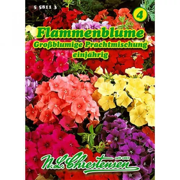 Semințe de brumărele gigant, mix multicolor