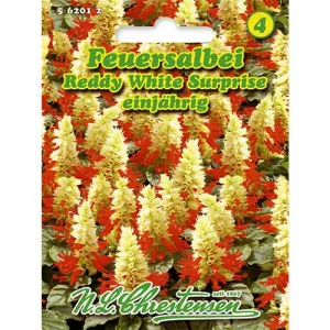 Semințe de salvie decorativă Reddy White Surprise