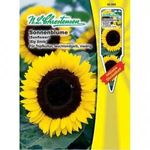 Semințe de floare soarelui decorativă Big Smile