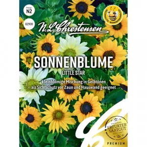 Semințe de floare soarelui decorativă Little Star