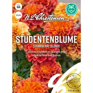 Semințe de crăițe Strawberry Blonde
