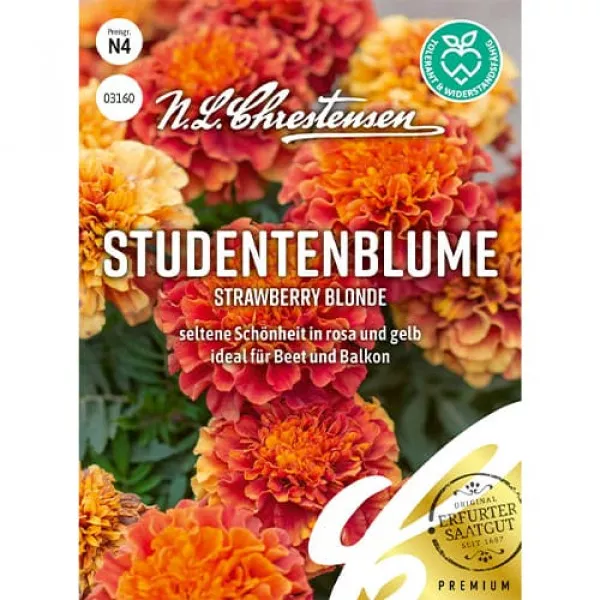 Semințe de crăițe Strawberry Blonde