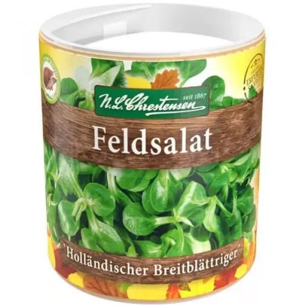 Semințe de kit de însămânțare Salată de câmp (Fetică) Hollandischer Breitblattriger