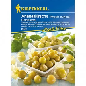 Semințe de physalis (Cireșe de pământ) Gold Marble