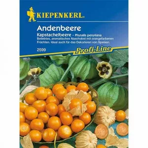 Semințe de physalis (Cireșe de pământ)