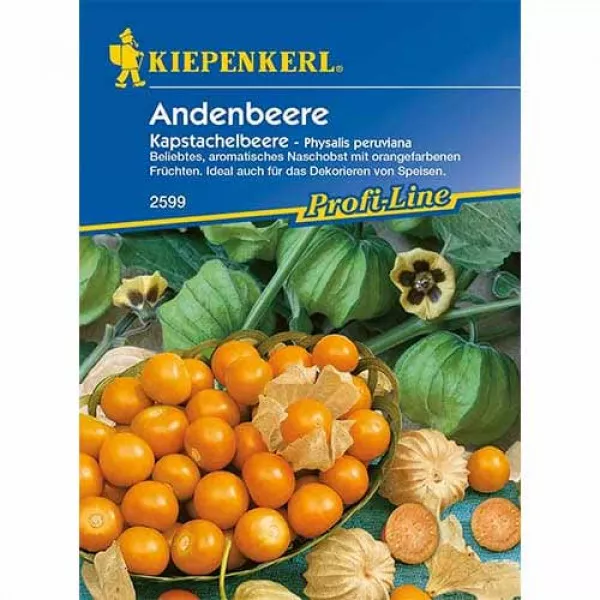 Semințe de physalis (Cireșe de pământ)