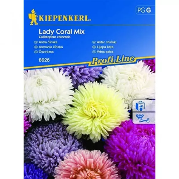 Semințe de ochiul boului Lady Coral, mix multicolor