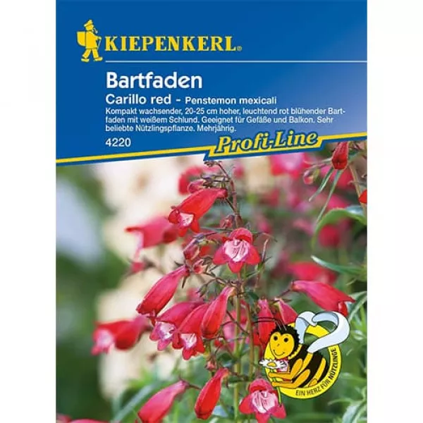 Semințe de penstemon Carillo Red