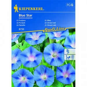 Semințe de zorele (Ipomea) Blue Star