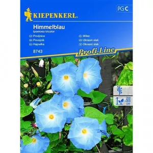 Semințe de zorele (Ipomea) Blue Sky