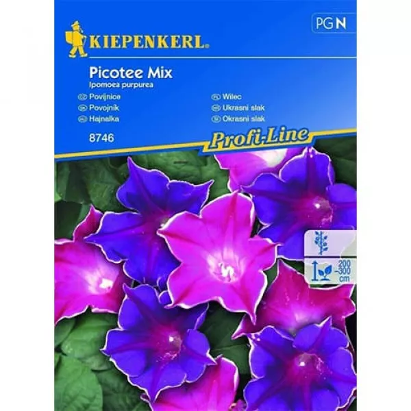 Semințe de zorele (Ipomea) Picotee, mix multicolor
