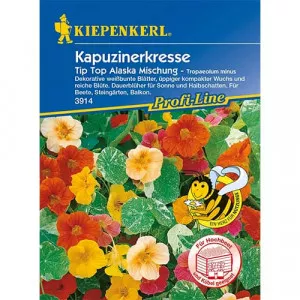 Semințe de condurul doamnei Tip Top Alaska