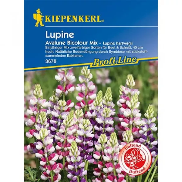 Semințe de lupin Avalune Bicolor