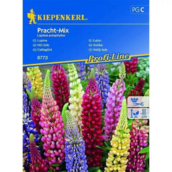 Semințe de lupin Splendid, mix multicolor