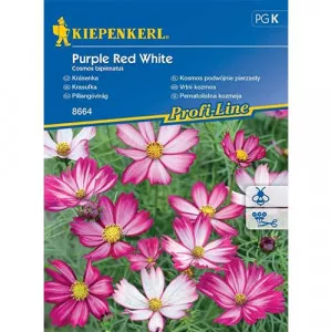 Semințe de cosmos (Mărărițe) Purple Red White