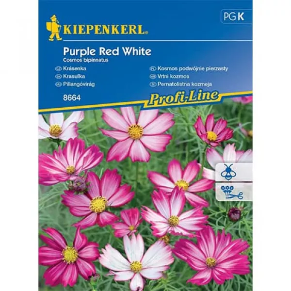 Semințe de cosmos (Mărărițe) Purple Red White