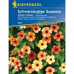 Semințe de thunbergia Susanne African Sunset