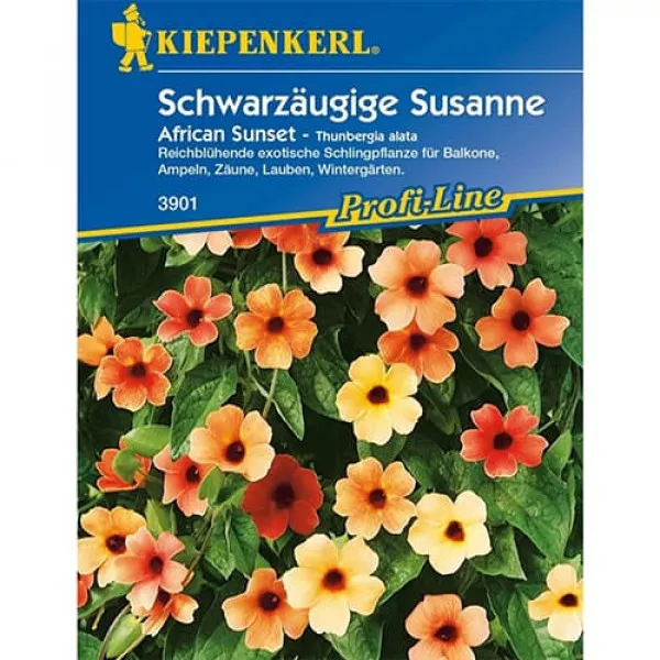 Semințe de thunbergia Susanne African Sunset