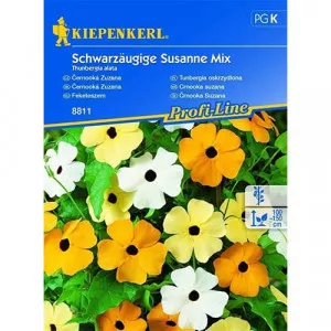 Semințe de thunbergia Susanne, mix multicolor