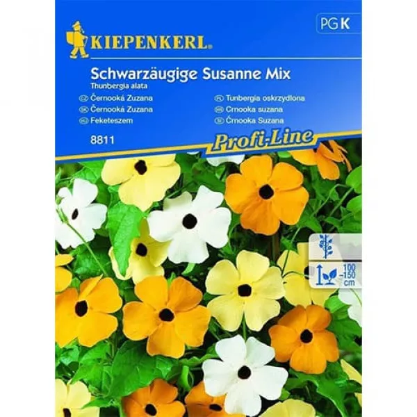 Semințe de thunbergia Susanne, mix multicolor