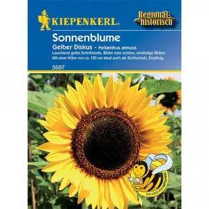 Semințe de floarea soarelui decorativă Yellow Disc