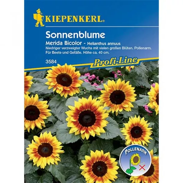 Semințe de floarea soarelui decorativă Merida Bicolor