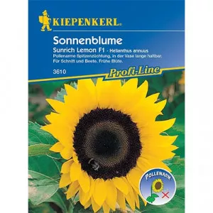 Semințe de floarea soarelui decorativă Sunrich Lemon F1