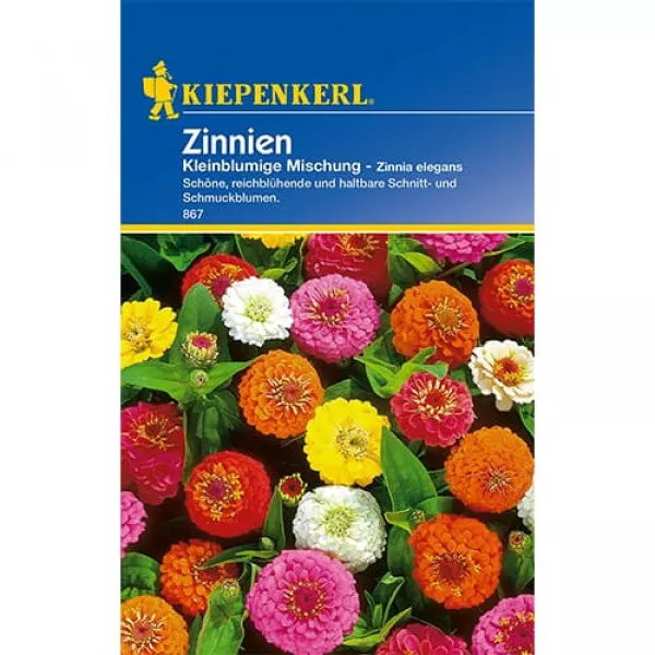 Semințe de zinnia (Cârciumăreasă) pitică, mix multicolor