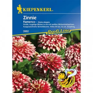 Semințe de zinnia (Cârciumăreasă) Flamenco