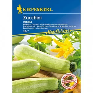 Semințe de dovlecel zucchini Ismalia F1