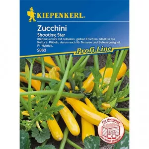 Semințe de dovlecel zucchini Shooting Star F1