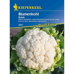 Semințe de conopidă Balak F1