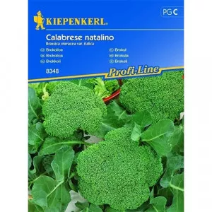 Semințe de broccoli Calabrese Natalino