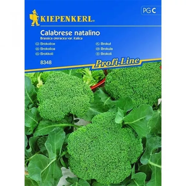 Semințe de broccoli Calabrese Natalino