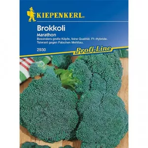 Semințe de broccoli Marathon F1